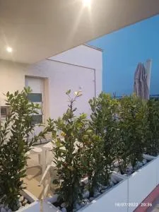 Casa Vedruccio - 卡萨马塞拉