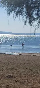 Angel's Houses - Skála Polikhnítou