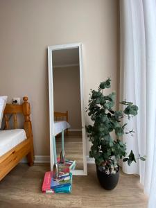 Renovated Apartment in Central Batumi