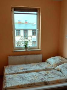 Apartament Pacific 2 rooms pokoje