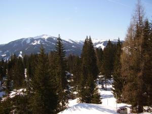 Appartementhaus Hochkönig 1 - Alpenrose