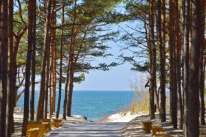 BOHO BEACH STUDIO su terasa ir baseinu