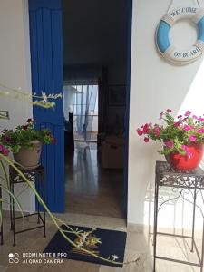 HAIKU HOME