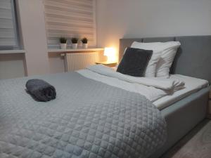 Apartament River nad rzeką Rawką