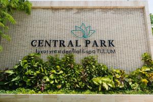 Central Park ModernStudio, Gym, Spa, Wi-Fi, cowork