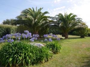 Maisons de vacances Holiday Home in Plouneour near Sandy Beach : photos des chambres
