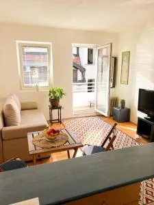 Panda Apartment - Karaburma