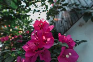 Oh Battambang Boutique Hotel