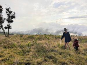 TINY HOUSE , frente al lago