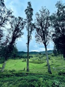 Kodai sakthi guest house