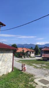 Holiday Farmhouse Skvor