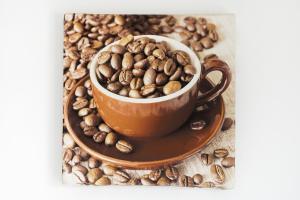 Appartements Appartement Saint-jean-de-luz : photos des chambres