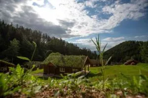 Frydrysówka - Nowa Wieś