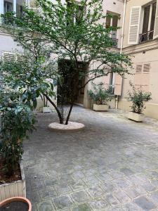 Paris - Champs Élysées - Arc de Triomphe