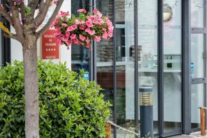 Appart'hotels Garden & City Mont-Ventoux Malaucene : photos des chambres