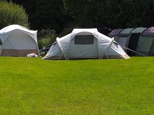 St Mullins Natural Camping