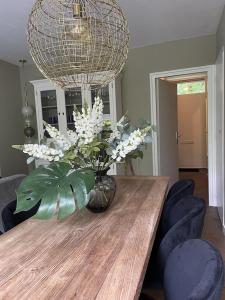 Comfortabel tot rust komen in het Veluwse bos