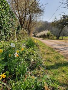 B&B / Chambres d'hotes Ferme equestre Gateau Stables : photos des chambres