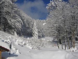 Hotel & Gasthaus Sterngrund