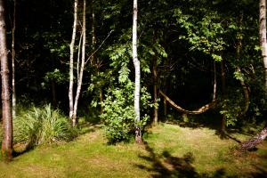 Riverwood Farms Shepherds Hut
