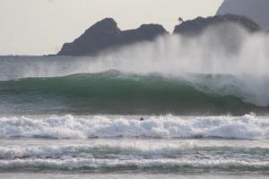 Jungle House - surf & stay