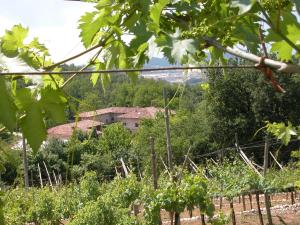 obrázek - Agriturismo Ca' Verde