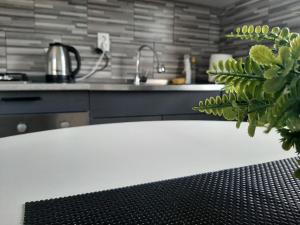 Apartment & Room TOMA