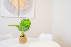 Puccini Apt - Centro città - Wifi - AC img15