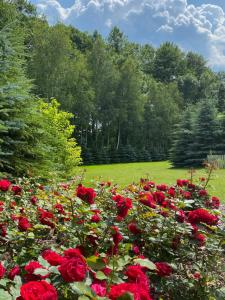 Urokliwy Zakątek to apartament tylko dla Państwa