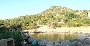 ecoVita agri-glamping img19