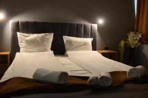Deluxe Apartment room in Hotel Gotse Delchev