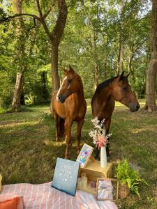 Maisons d'hotes Le Ranch Kabahina Golf : photos des chambres