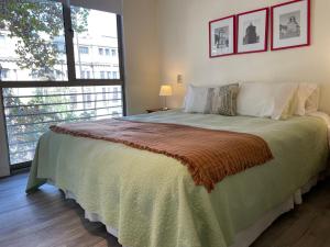 Barrio Lastarria, Excelentes Apartamentos - Sofia Camilla Propiedades