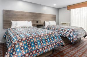 Deluxe Family Suite room in Blue Dolphin Inn