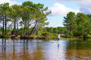 Appartement COSY avec piscine, accès direct plage