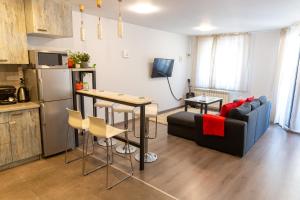 Fancy Big apartment in the heart of Sofia