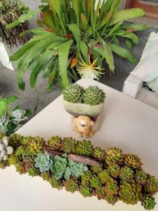 Guesthouse A Lareira