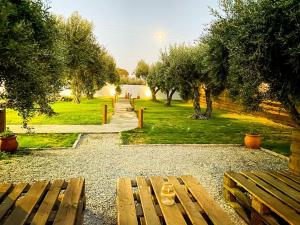 Oliviera - House in Nature