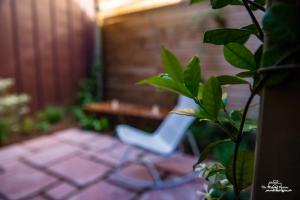 Hotels Logis Hotel Altitude et Spa Pierre-Percee : photos des chambres