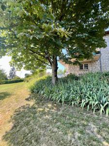 Maisons de vacances Villa La Baronnie - Sublime Villa pour 11 Personnes - Aux Portes de Brive : Maison 5 Chambres