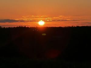 Campings La roulotte belle fleur : photos des chambres