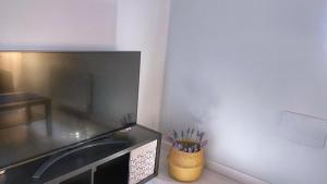 VT Flat Reformado con Escritorio de Trabajo y Wifi