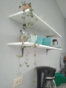 Departamento cómodo vacacional