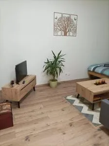 Štýlový Apartmán Zemplínska - Pavlovce