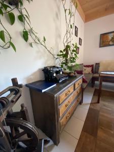 Agroturystyka Sarni Stok