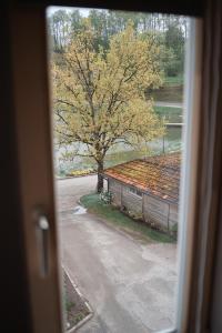 Apartaments Nr.33 (Viesu Nr.3)