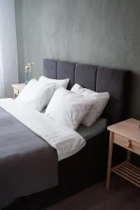 Apartaments Nr.33 (Viesu Nr.3) - Valdemārpils