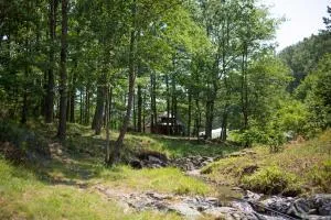 Brvnara Mila Vila - Ozrem