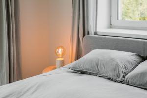 Central Apartment in Architectural Street