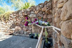 Lu Casal de Fiò img55